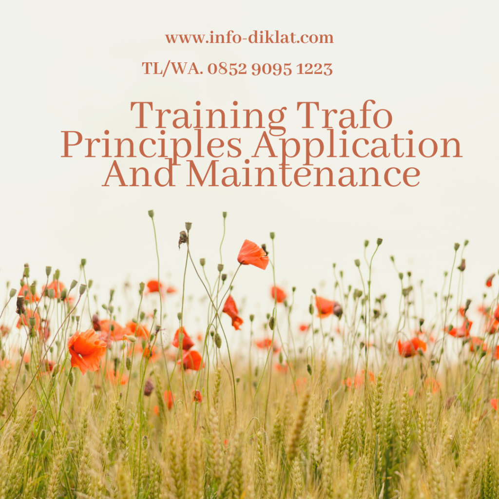 Training Trafo Principles Application And Maintenance