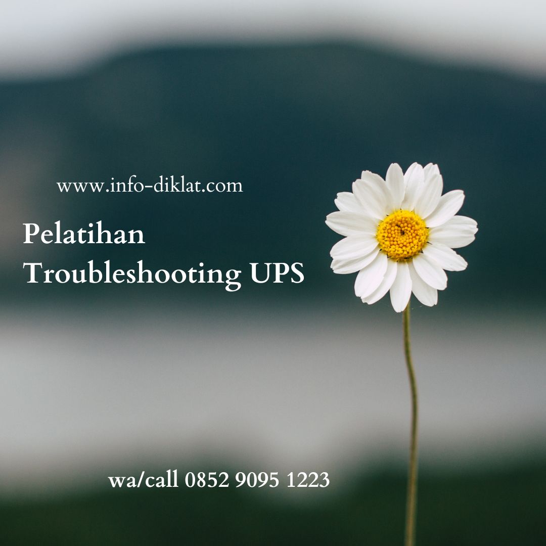 Pelatihan Troubleshooting UPS