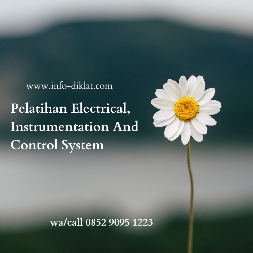 Pelatihan Electrical, Instrumentation And Control System